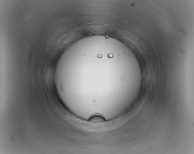 X0000113030034200909101907