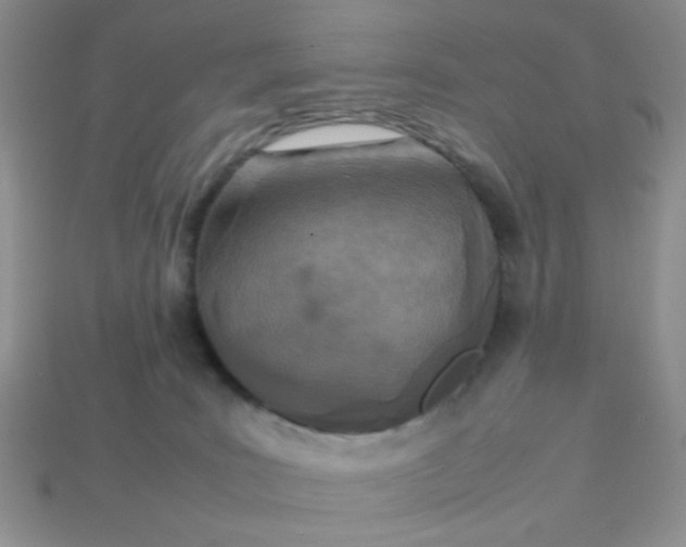 X0000113030035200909101907