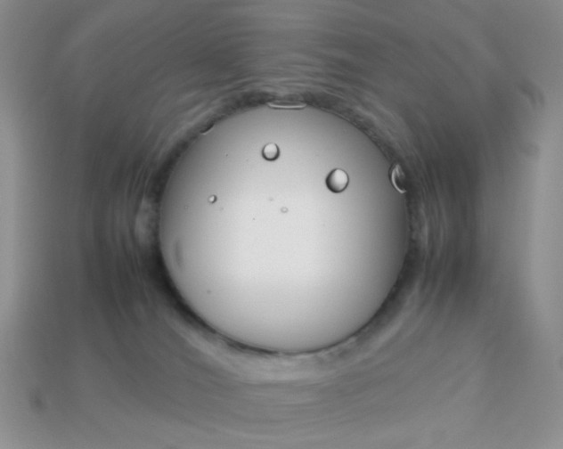 X0000113030036200909101907