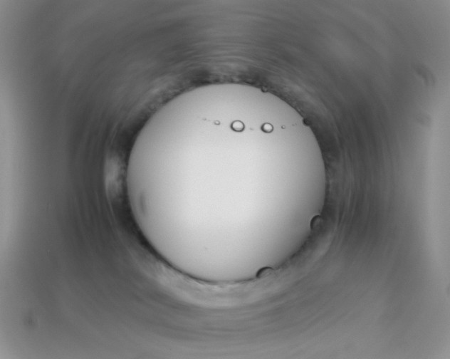 X0000113030038200909101907