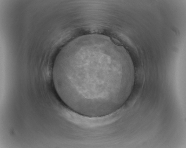 X0000113030039200909101907