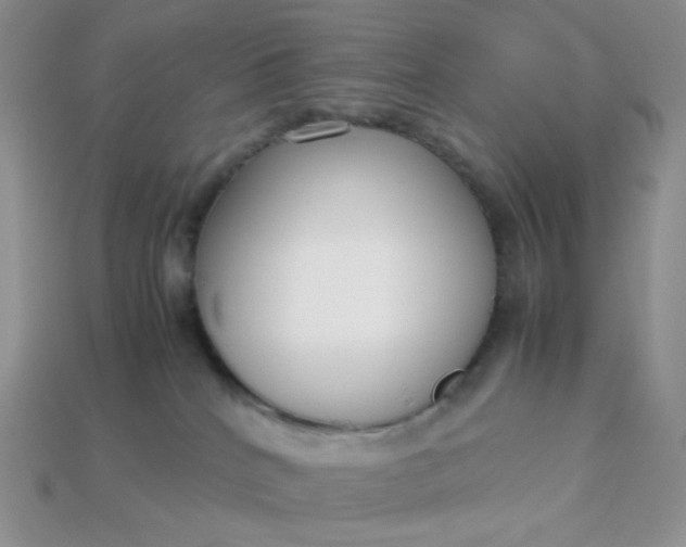 X0000113030040200909101907