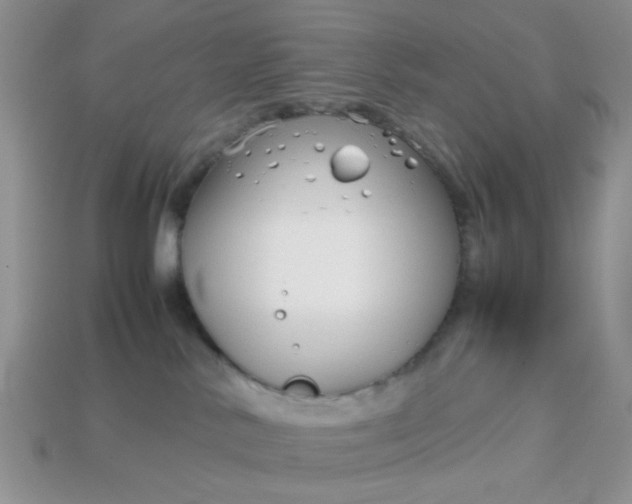 X0000113030042200909101907