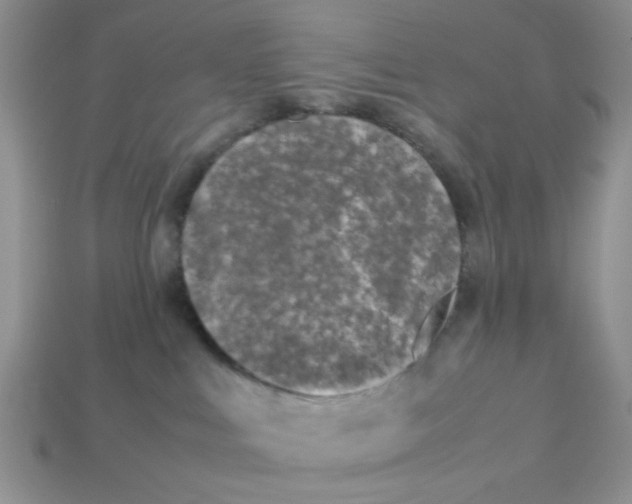 X0000113030043200909101907