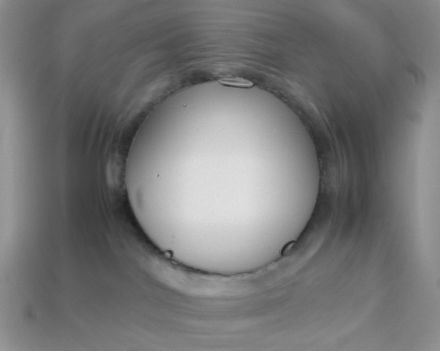 X0000113030044200909101906