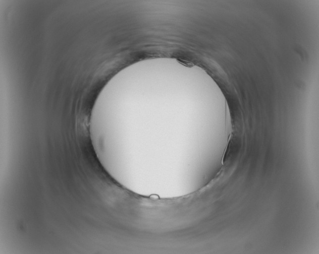 X0000113030045200909101906