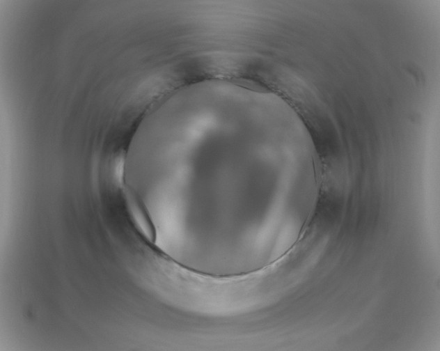 X0000113030047200909101906