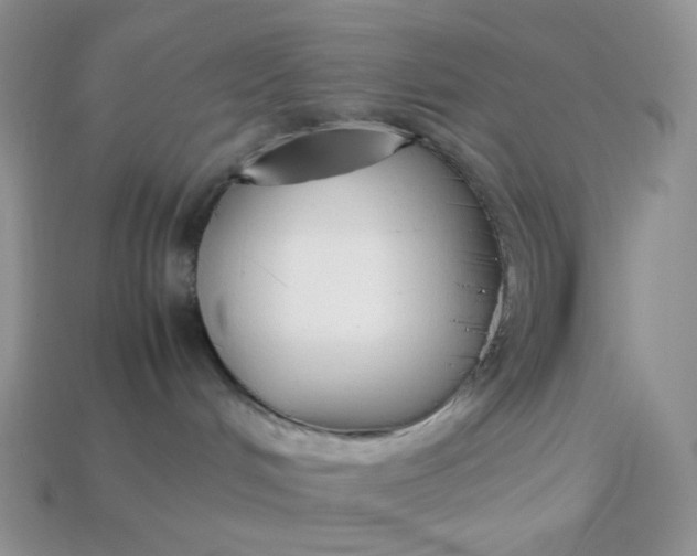 X0000113030048200909101906