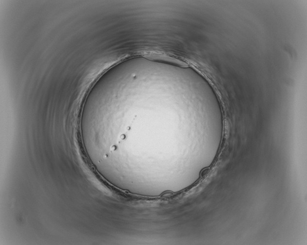 X0000113030049200909101906