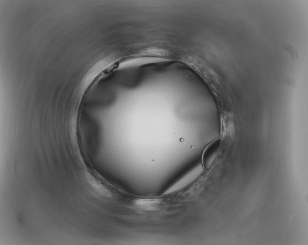 X0000113030051200909101906