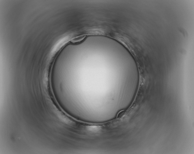 X0000113030053200909101906