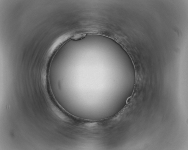 X0000113030054200909101906