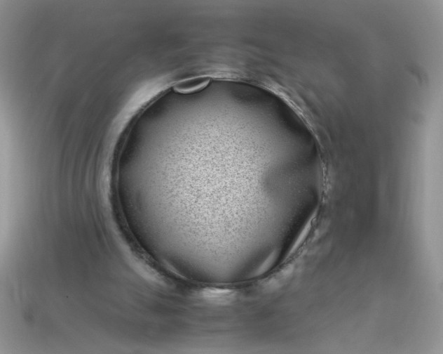 X0000113030055200909101906