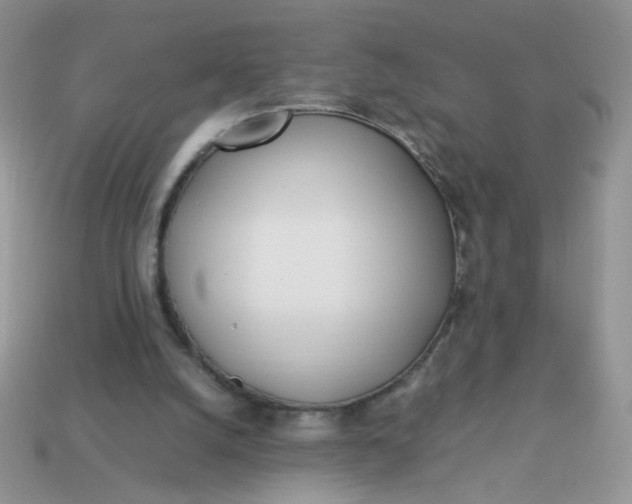 X0000113030056200909101906