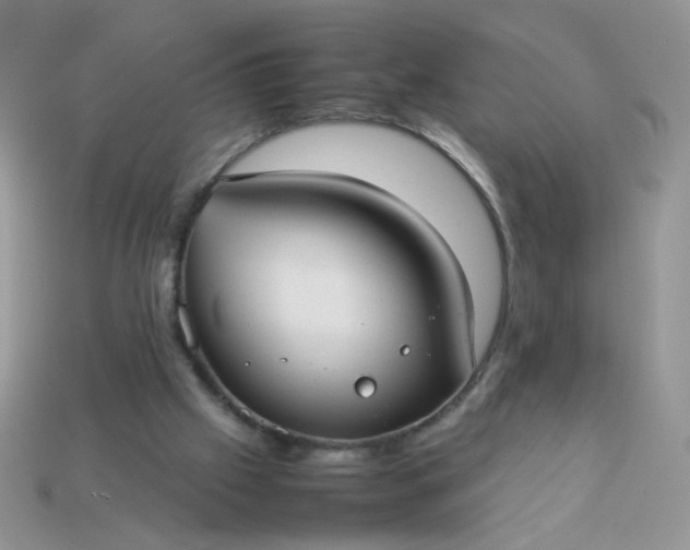 X0000113030057200909101906