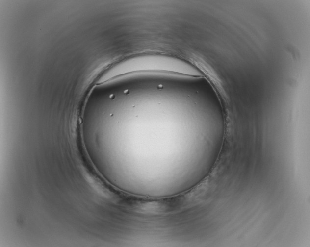 X0000113030058200909101906