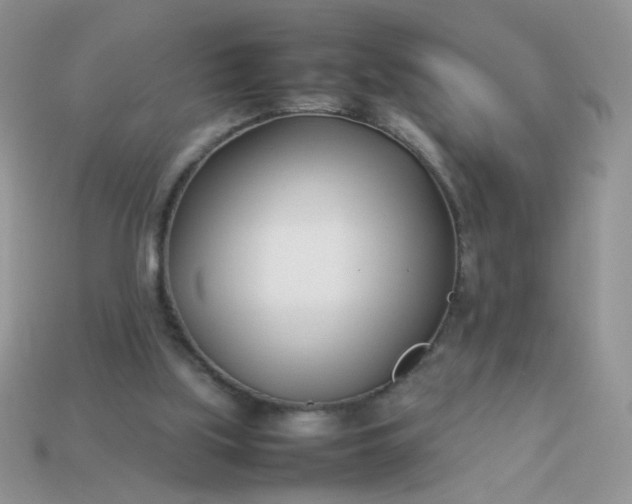 X0000113030059200909101906