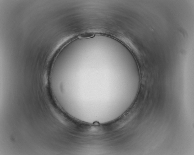 X0000113030060200909101906