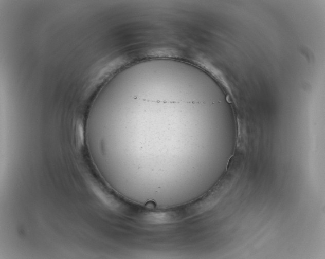 X0000113030061200909101906