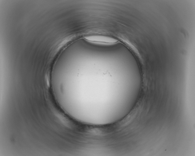 X0000113030062200909101906