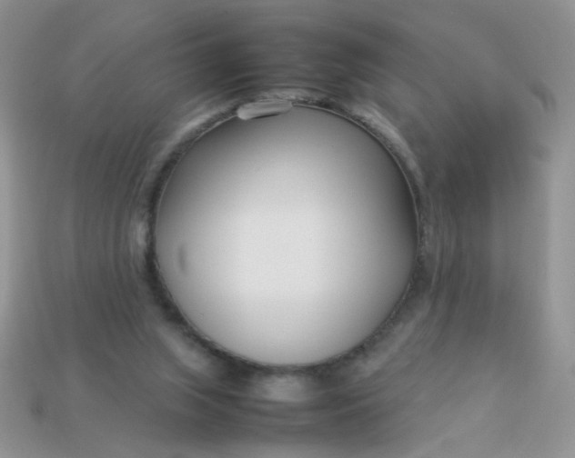 X0000113030063200909101906