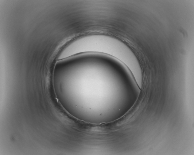 X0000113030064200909101906