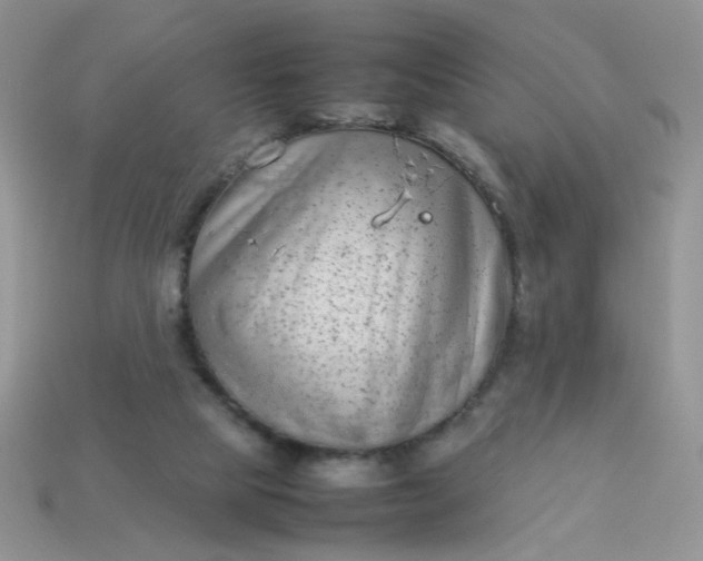 X0000113030065200909101906