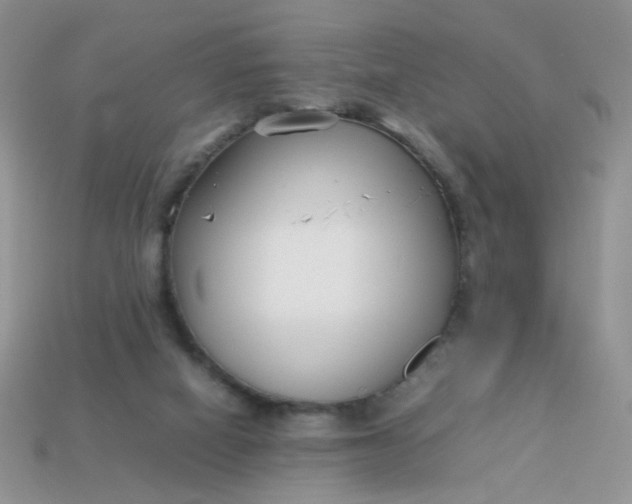 X0000113030066200909101906