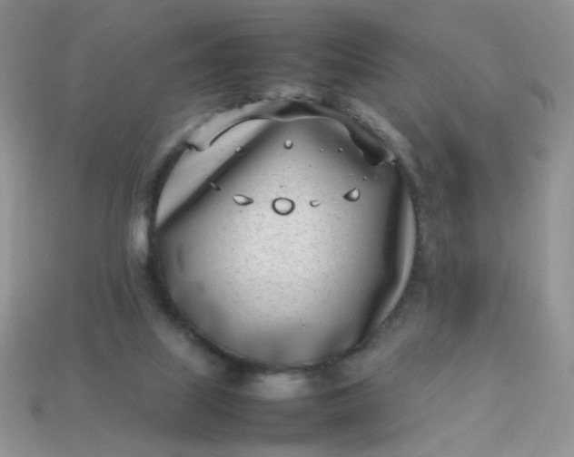 X0000113030067200909101906