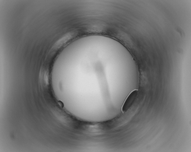 X0000113030068200909101906