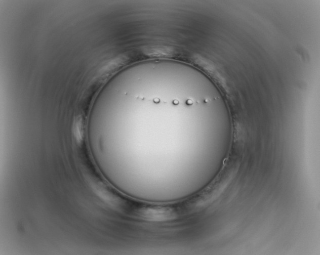 X0000113030069200909101906