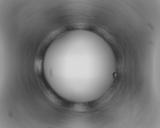 X0000113030070200909101906