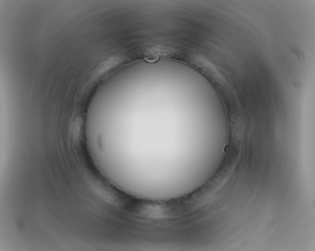 X0000113030071200909101906