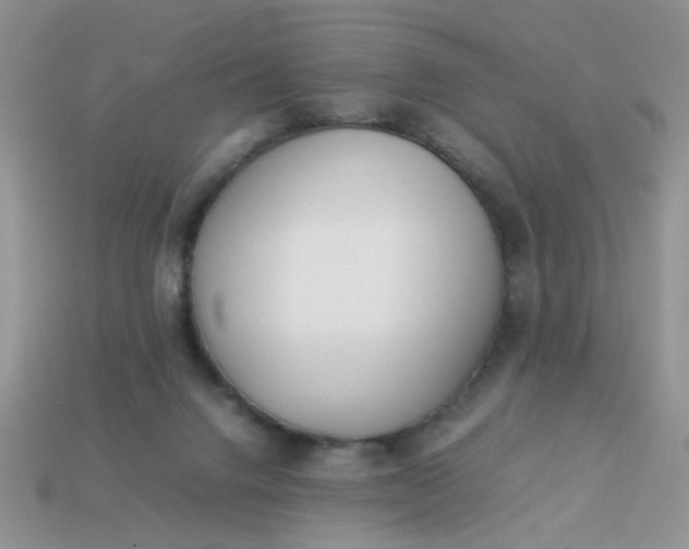 X0000113030072200909101906