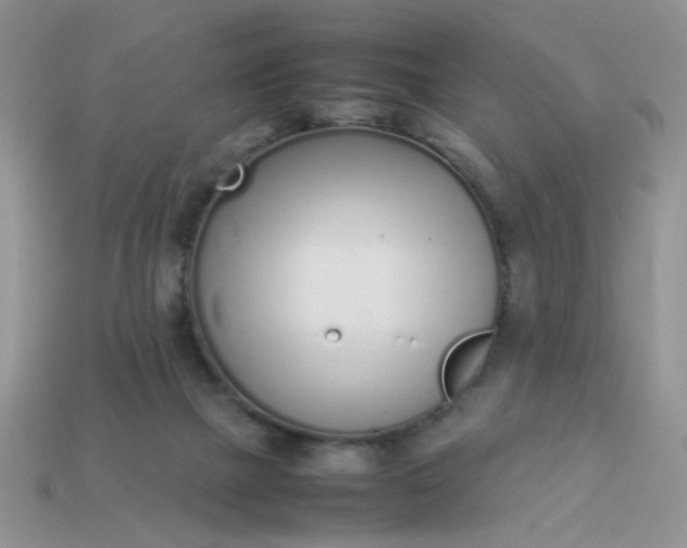 X0000113030073200909101906