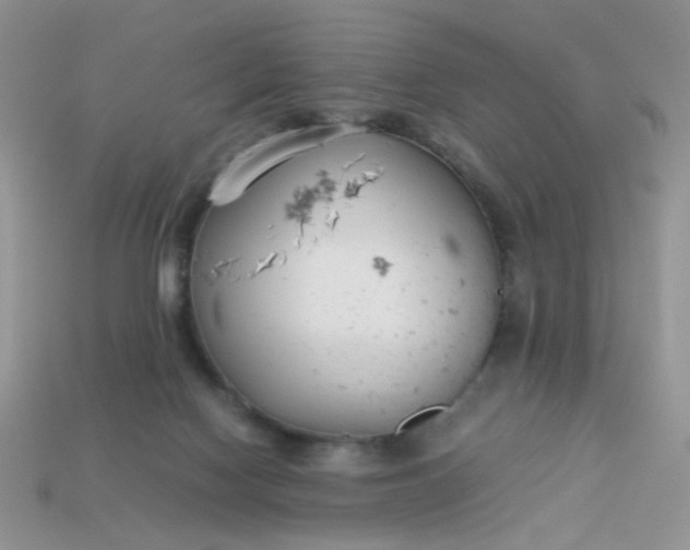 X0000113030074200909101906