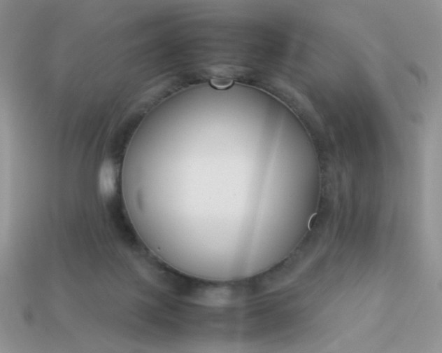 X0000113030075200909101906