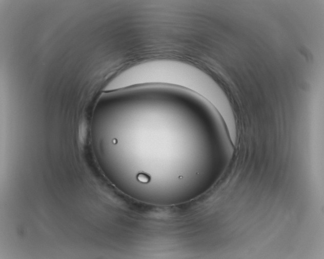 X0000113030076200909101906