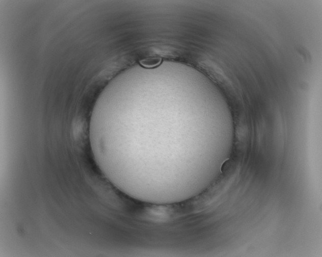 X0000113030079200909101906