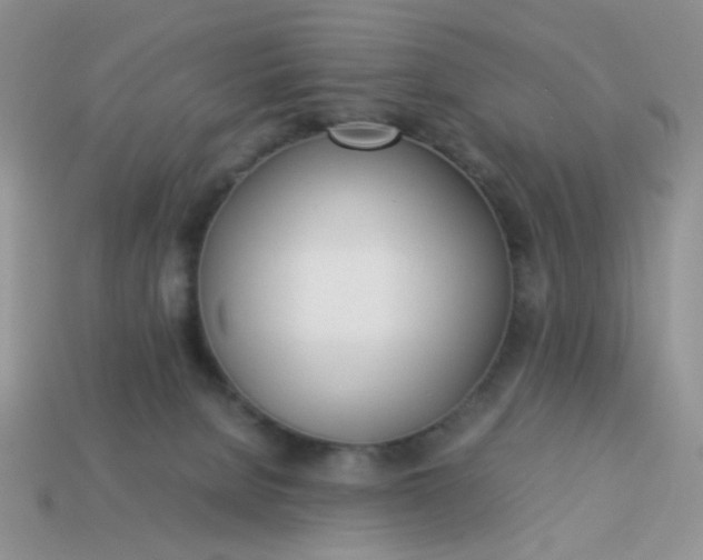 X0000113030080200909101906