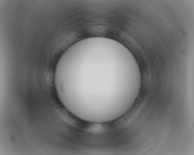 X0000113030083200909101906