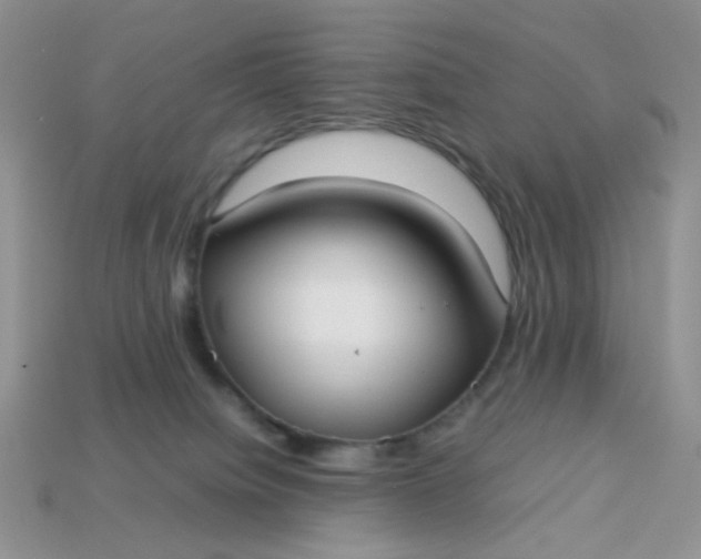 X0000113030084200909101906