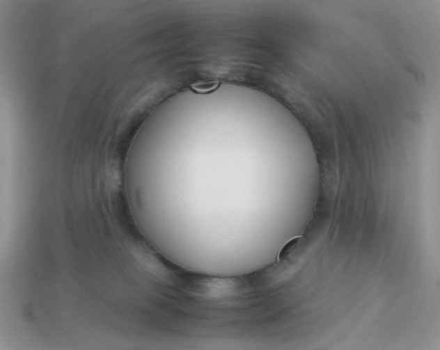 X0000113030085200909101906