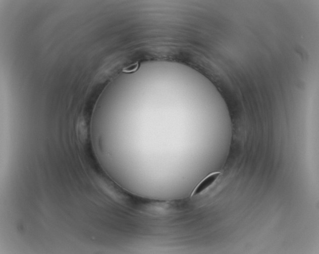 X0000113030086200909101906