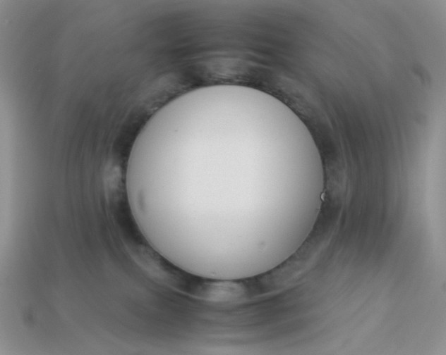 X0000113030087200909101906