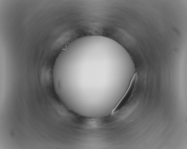 X0000113030088200909101906