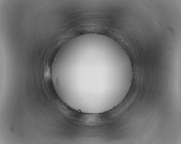 X0000113030089200909101906