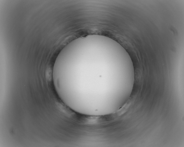 X0000113030090200909101906