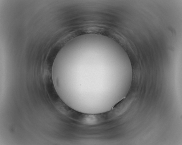 X0000113030091200909101906