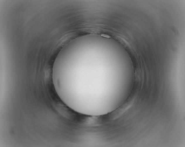 X0000113030092200909101906